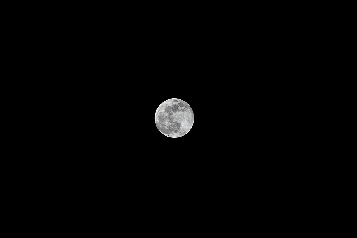 todaymoon_pic's tweet photo. 🌕 오늘의 달

2019년 가장 큰 보름달이라고 하네요! 🙏 https://t.co/swL8BAgZaK