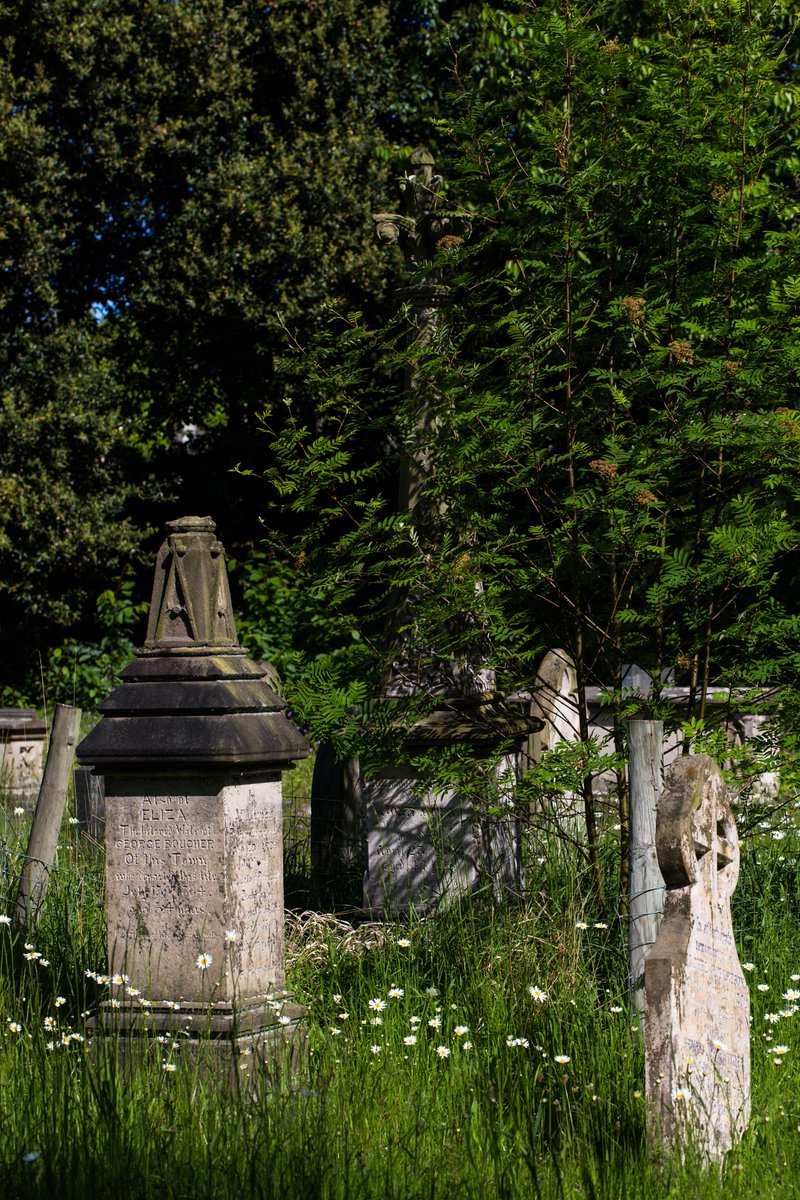 godsacre's tweet image. Join the beautiful Burial Ground Project &amp;amp; @DyfedArch for a FREE day learning to survey the visible archaeology of burial grounds this Sat 23rd Feb in Dihewyd, SA48 7PN more info here caringforgodsacre.org.uk/our-beautiful-…  @LampeterHistory @UWTSDLampeter  #beautifulburialground #HLFsupported