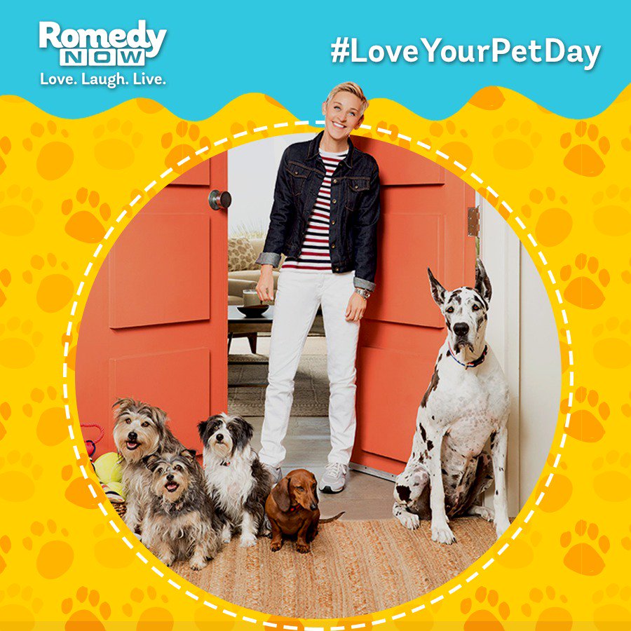 RomedyNow's tweet photo. Share a pawfect picture with your pet & tell us why you love them. #PetSetGo #LoveYourPetDay https://t.co/nRCc6lUycB