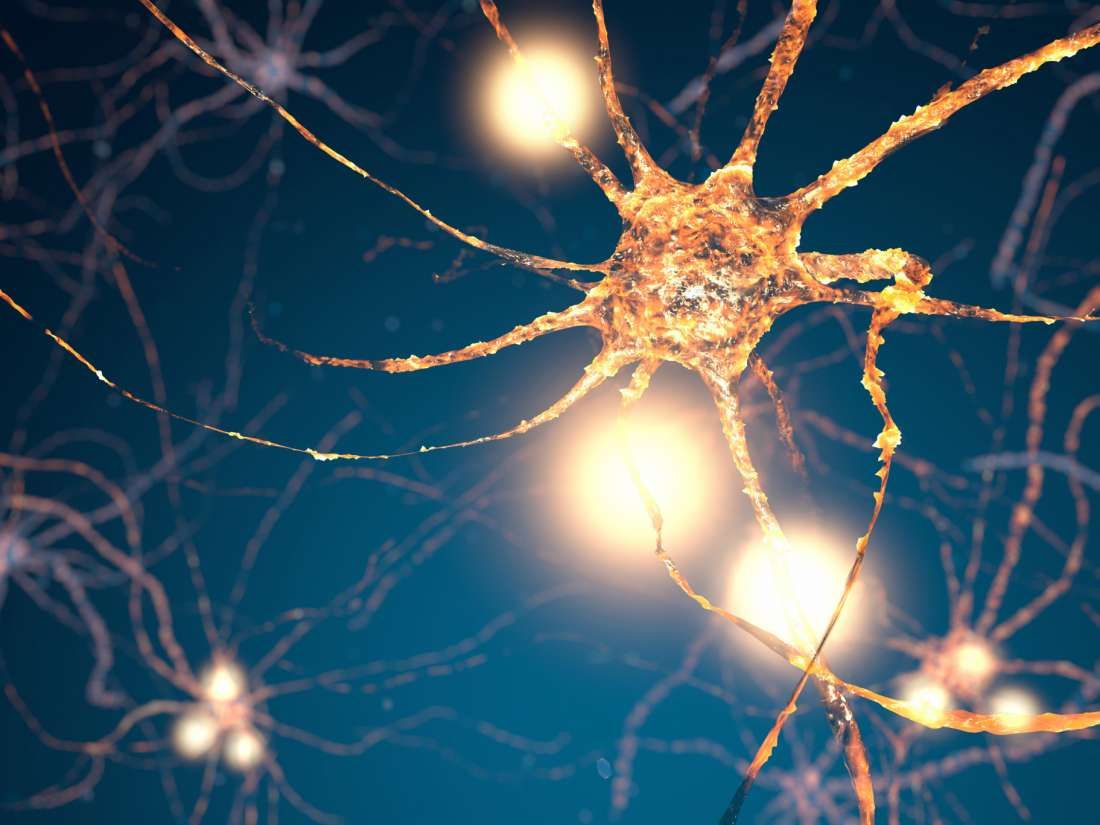 Simple drug formula regenerates brain cells #neurology #neuro #brain buff.ly/2RT4pE0