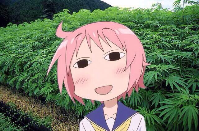 グレート西郷 On Twitter アニメキャラが大麻やってるコラ 他人に