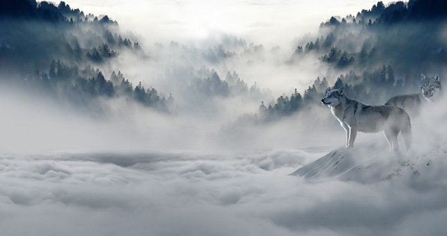 fun2discover's tweet photo. Today's STEAM Challenge Question:  A cloud at ground level is called? Join https://t.co/7zqebGiXC0 and post your answer to earn points to win great STEAM related prizes! #STEAMLearning #STEM #earth #astronomy https://t.co/0Xr5hcowiO