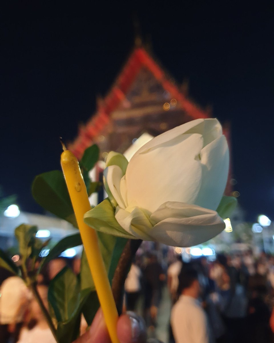 TaoTaoAtichat's tweet image. เวียนเทียนวันมาฆบูชา 🙏🙏🙏
#alwaysalone #FWDThailand