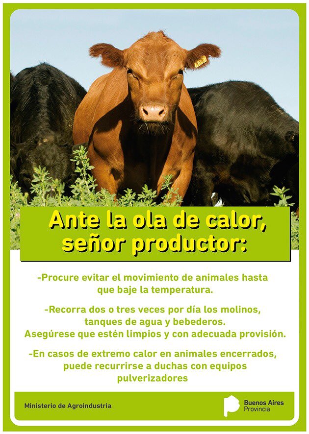 Ver imagen en Twitter