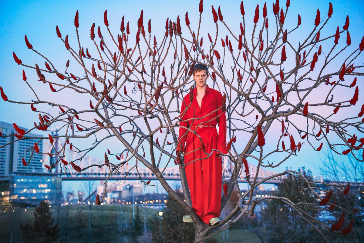 Luke Leifeste tweet media