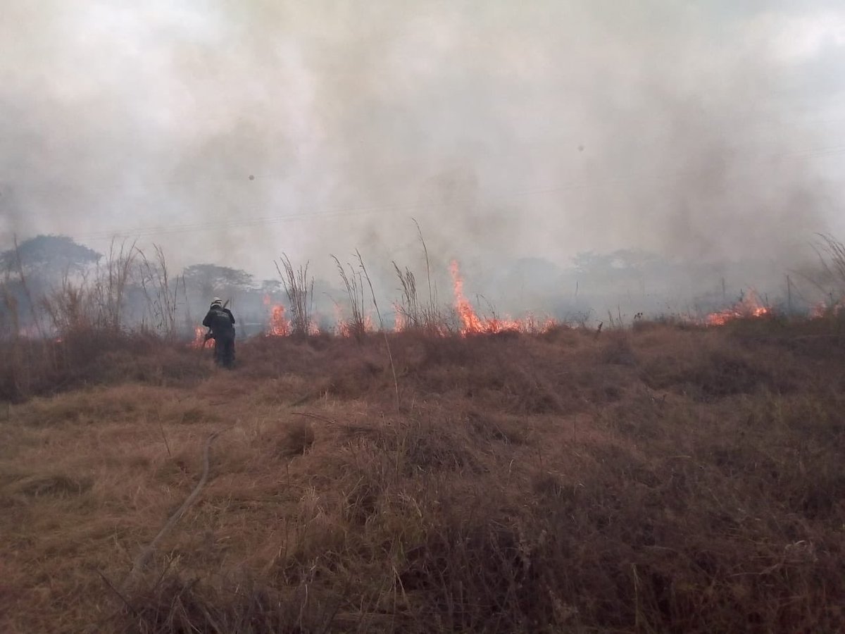 Adojeda35's tweet photo. Realizamos liquidación de incendio forestal presentado en la vereda San Francisco el cual afectó 5 hectáreas de pastos, en el evento 2 carros cisternas y 6 unidades. @DNBomberosCol https://t.co/JUzILKkn48