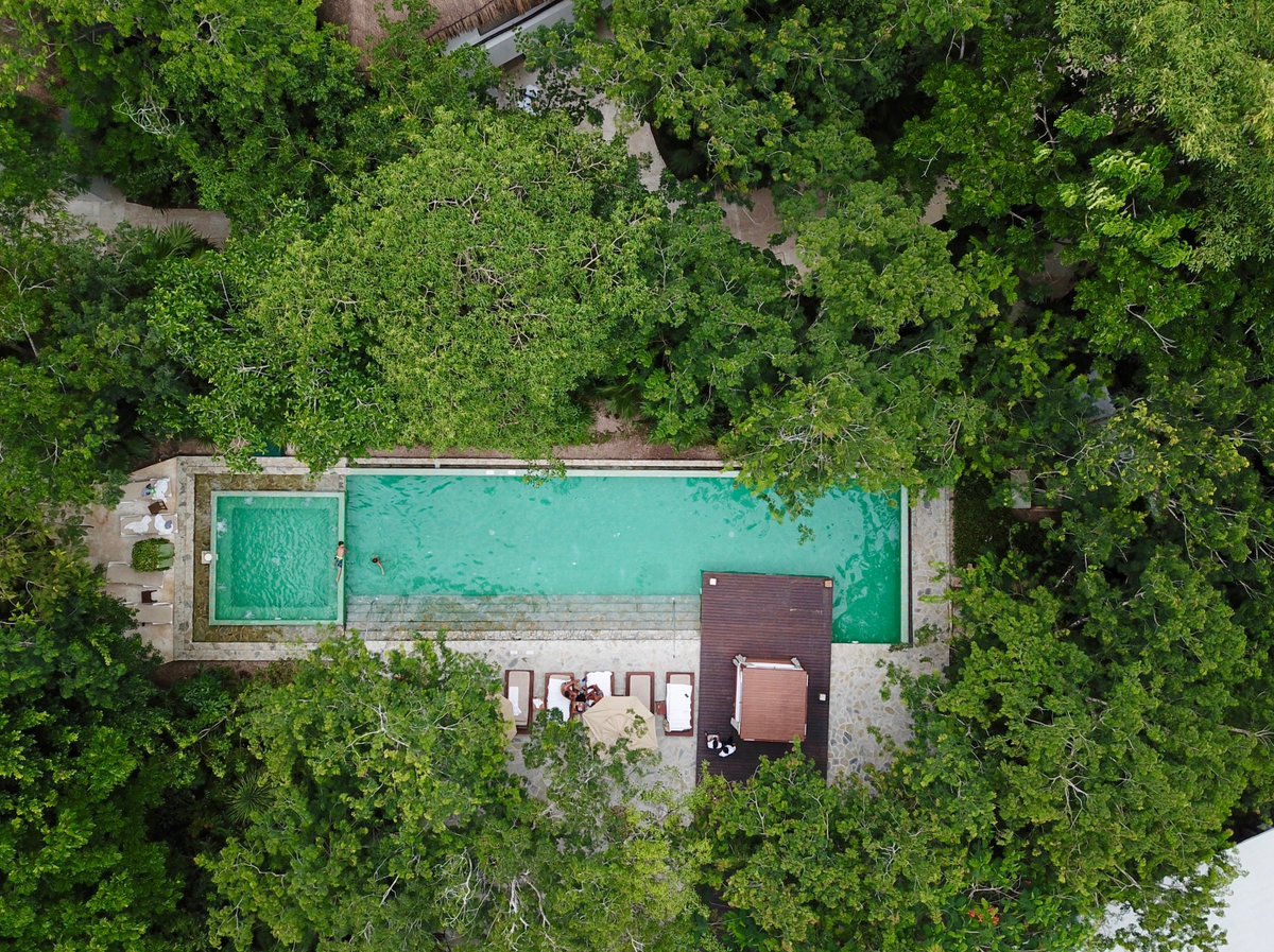 CzmHotels's tweet photo. El ambiente perfecto para relajarte, después de un día lleno de aventuras.
😍🙌
#DiscoverMore #ExploreanExperience #AmaCozumel #FelizMartes @exploreanczm https://t.co/xbjhds64sD