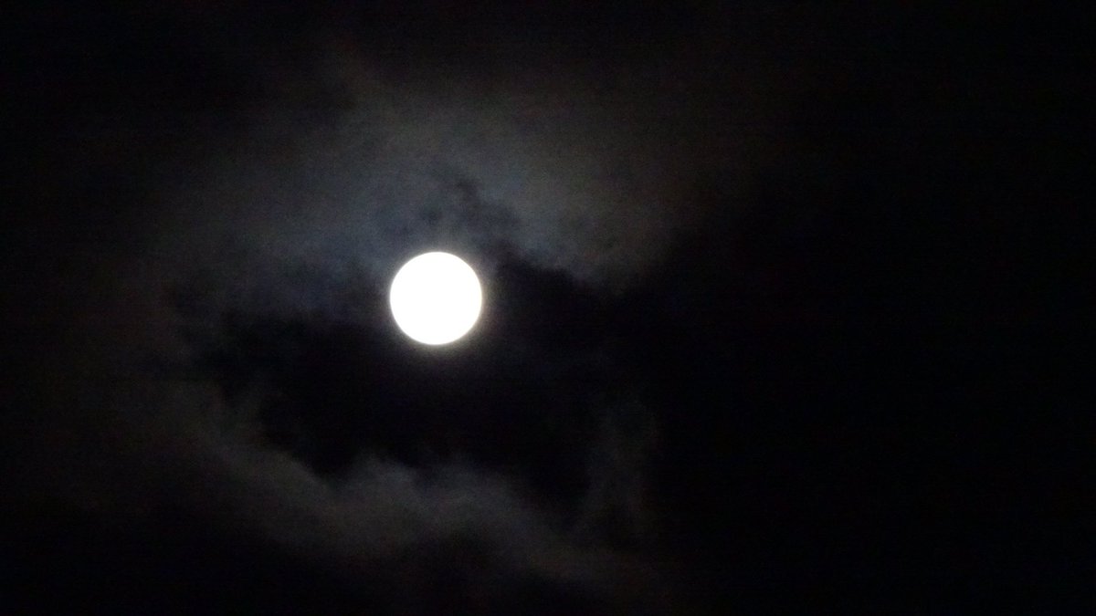 美しい月