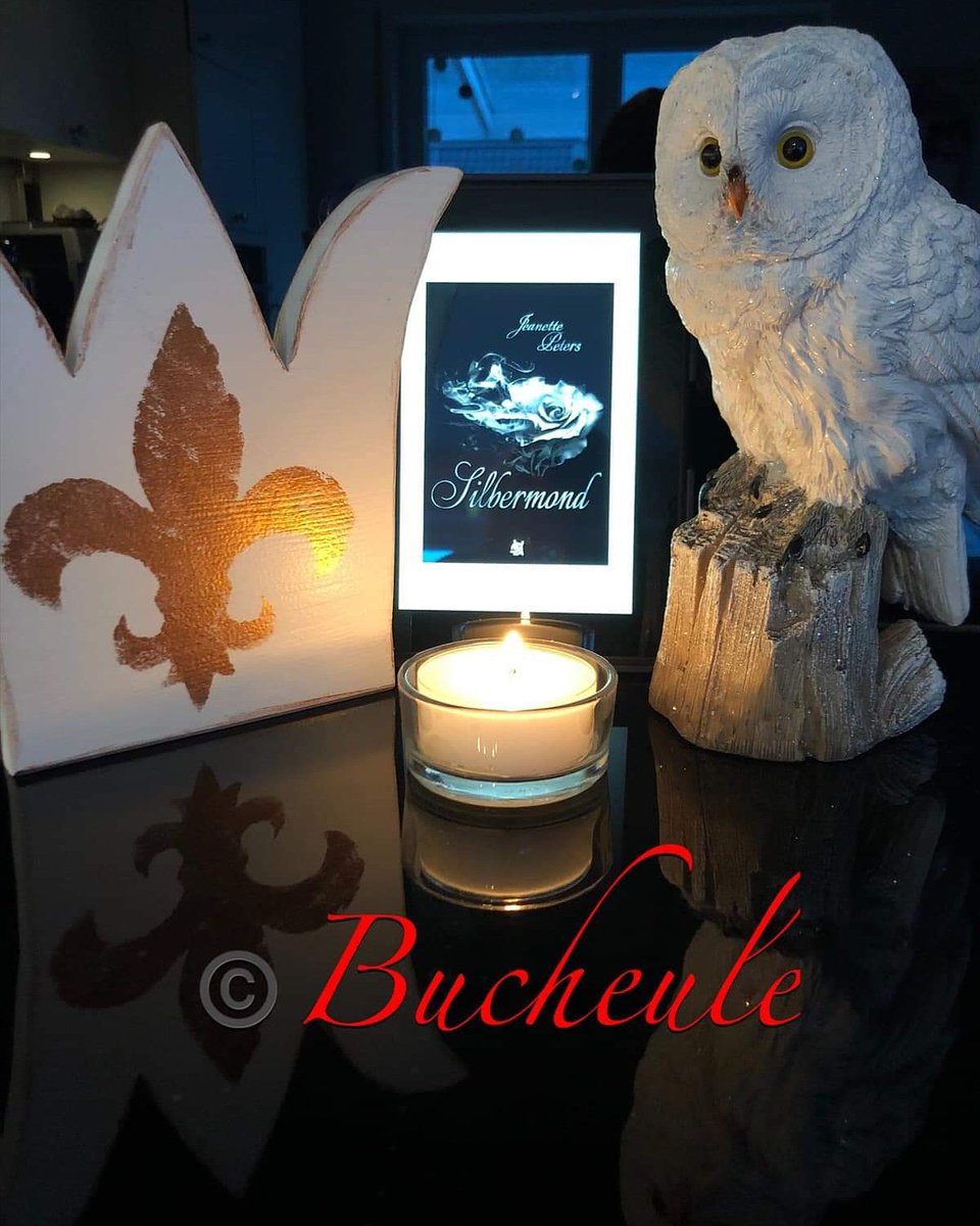 BlogderB's tweet image. Neue #rezension online.
Mehr erfahrt ihr wie immer auf unserer #fb und #instagram Seite.
#silbermond
#jeanettepeters 
#buchblog
#rezensionsexemplar