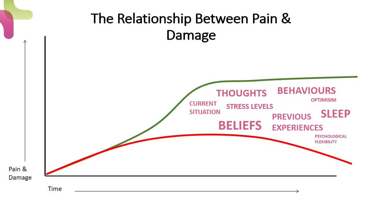 ashjamesphysio's tweet image. A slide from our #Resilience course looking at the relationship between tissue damage and pain. 

We discuss what 'fills their gap' between ongoing pain and likely reducing levels of tissue damage .....