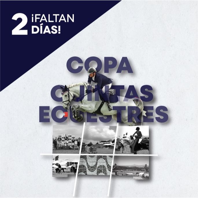 HarasOficial's tweet photo. Faltan 2 días para que comience la Copa Quintas Ecuestres

Del 21 al 24 de febrero #EnHaras https://t.co/fMh6jmWDlS