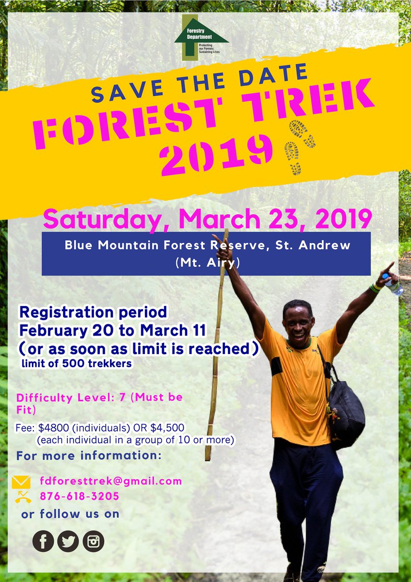 ForestryDeptJa's tweet image. Forest Trek 2019 is almost here!

We'll be trekking the Blue Mountain Forest Reserve in Mt. Airy, St. Andrew. Registration opens on Wednesday so make sure to lock in your space early. 
.
.
.
#ForestryDeptJa
#ForestTrek
#ForestTrek2019
#Hiking
#Outdoorlife
#Fitnesslifestyle