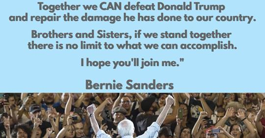 Women4Bernie tweet media