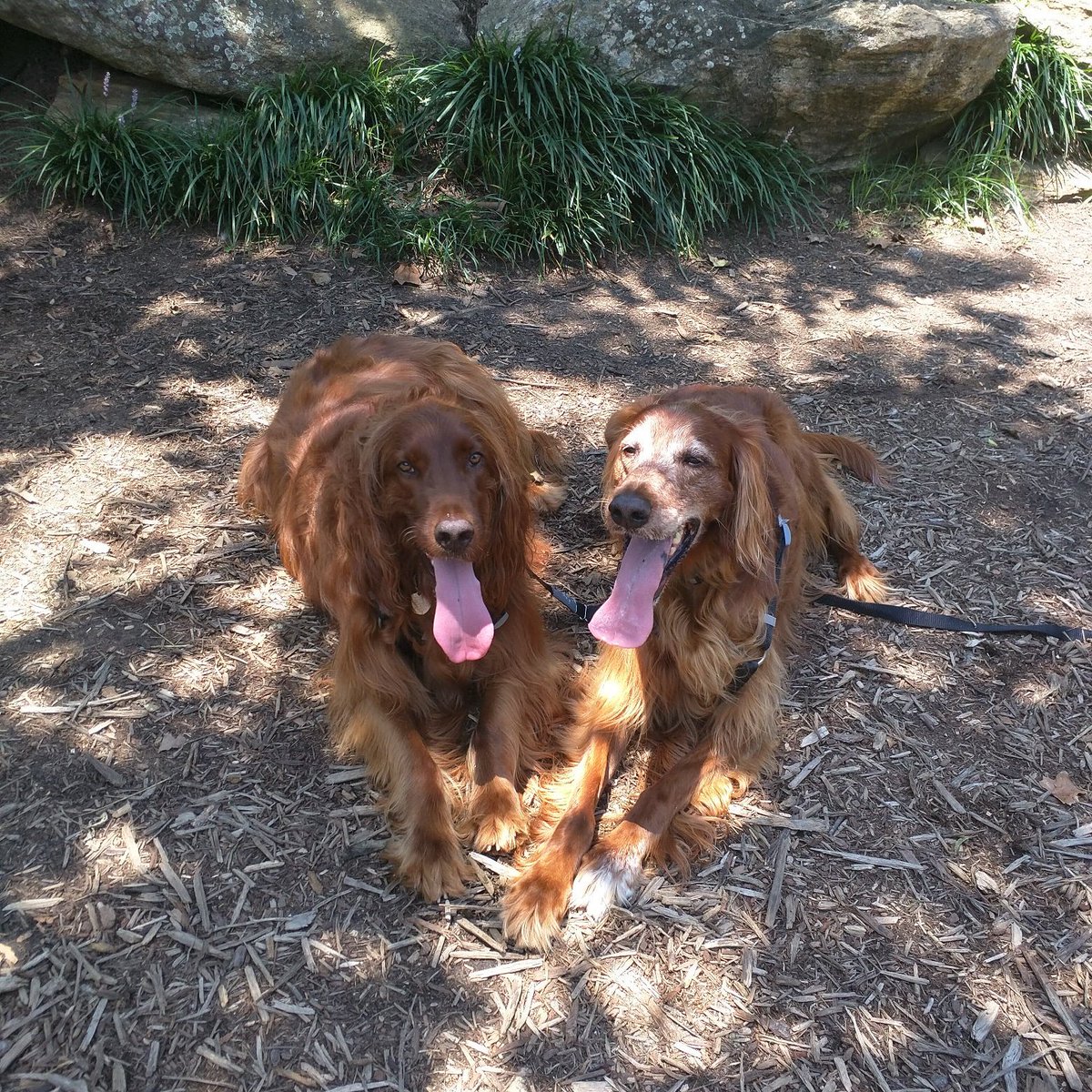 Happy Tuesday!! 😘😘 
#Guinness #Wrigley #TongueOutTuesday #TBT