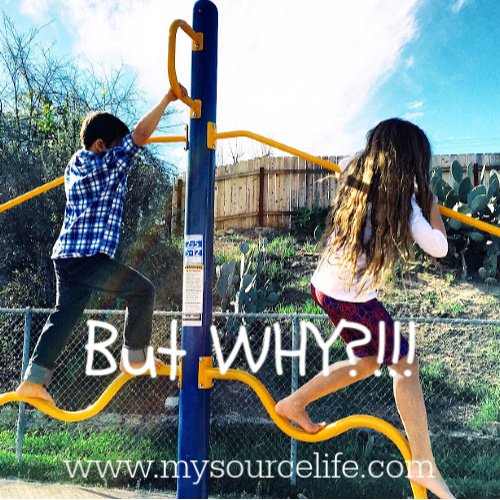 mysourcelife's tweet photo. Can one word #change your life? Kids know how to ask #WHY, but as an adult, reasons often get confused in grown up thoughts. I was carrying out tasks for WHYโs that didnโt make sense for me anymore. Do YOUR WHYโs still work for you? https://t.co/PYSeVBAL4Q #QuestionThings https://t.co/JtimUG2iGn