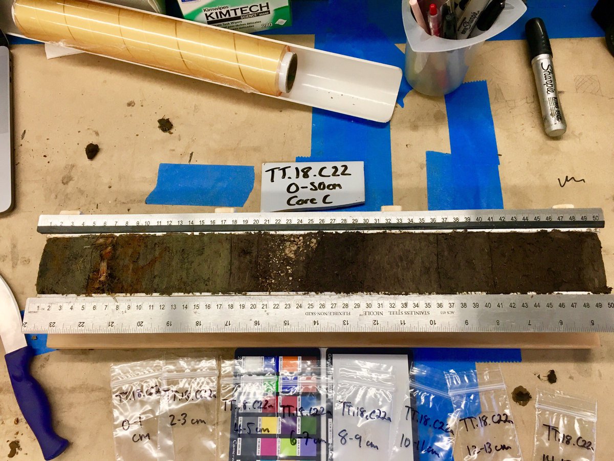 diatomdura's tweet photo. The ups and downs and tephras of Sitkinak Island, Alaska. Here at URI sampling with @URISeaLevel. #paleoseismology #labwerk https://t.co/Oj4nT3Zi86