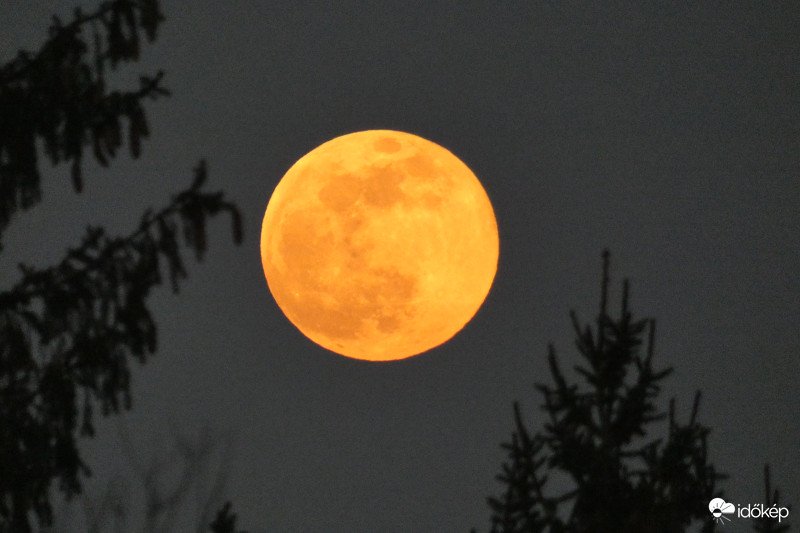 idokep's tweet photo. 🌕 Szuperhold felhasználóink kameráinak lencséin keresztül:
https://t.co/Kgbi7UT2IG

Bodrogi Attila és Dodi0528 fotói, köszönjük! https://t.co/DU4xj6N73X