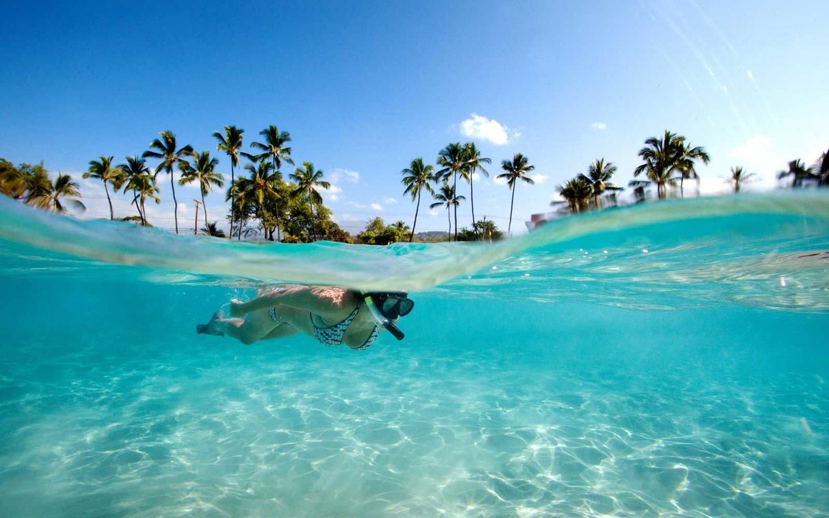LtTourists's tweet photo. 10 Snorkeling Spots You Need to Add to Your Bucket List #travel #detinations #adventure https://t.co/OcL9aHq5Cg https://t.co/Aq9qjq7fvK