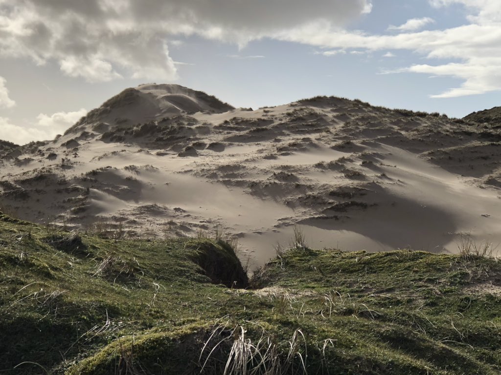 Exploring novel dune management techniques to deal with excess #nitrogen deposition #EverywhereandInvisible How does sand from this blowout affect plants and soils? @CEHScienceNews @KWR_Water