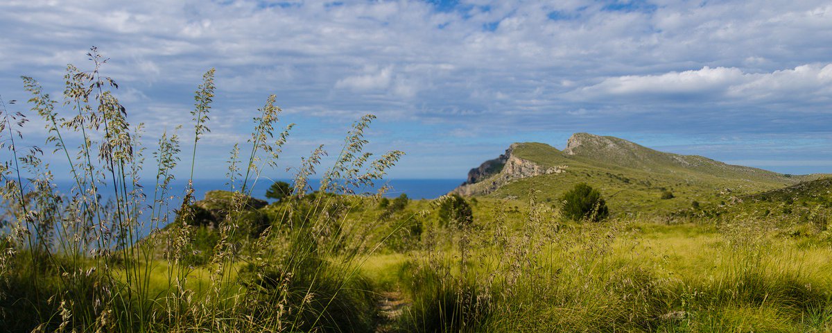 zerowasteeurope's tweet photo. Did you know that the Balearic Islands are setting the example to prevent waste and cut on #SingleUsePlastics in Europe? Congratulations @rezerocat! 👏 
Now it's time for the @EU_Commission to set waste prevention targets 🙋‍♀️https://t.co/LjJEpOHiDY 
#ZeroWasteCities #ZWENetwork https://t.co/GMEO3TyypH