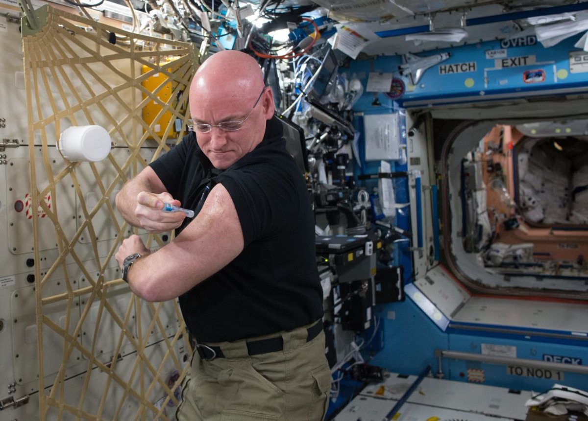 Primal_Digest's tweet image. After twin-astronaut tests, NASA readies #NewWave of studies on space health risks
pri.ml/uFns2uvm via geekwire