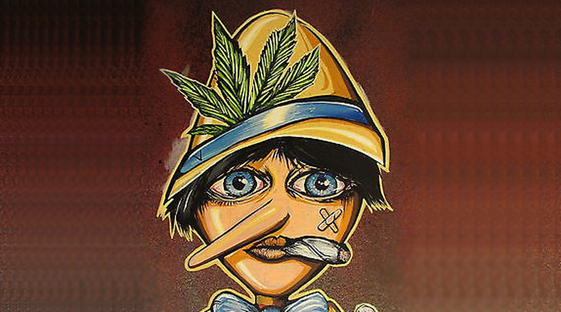 Maco_Project's tweet photo. Maconha não diminui a inteligência, e também não é porta de entrada para outras drogas. Conheça estas e outras mentiras sobre a cannabis, e saiba como rebatê-las:  https://t.co/QijqSjAheb 
#Maconha #FakeNews #Ativismo #GuerraÀsDrogas https://t.co/1KjPSxSS2d