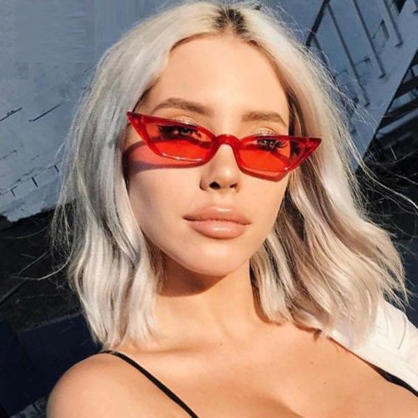 NicoleVOfficial's tweet photo. NIKA #tinysunglasses #cateye #getthelook https://t.co/03Uz8AX8kY https://t.co/LNKn6dkdMP