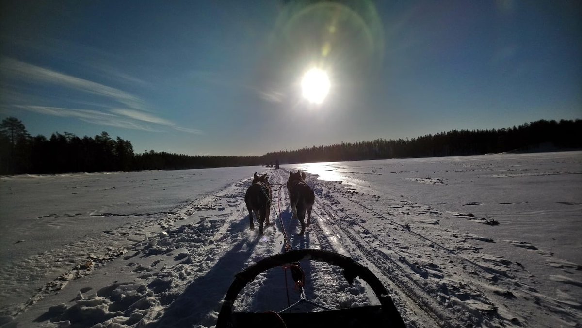 QEHSchool's tweet photo. Expedition to #Finland is well underway-dog sledding, snowshoeing and learning winter survival skills so far! Thanks @SchoolsWorldwide #tripofalifetime #arctic #husky #igloo #brrrr https://t.co/RQyQHCqqPs