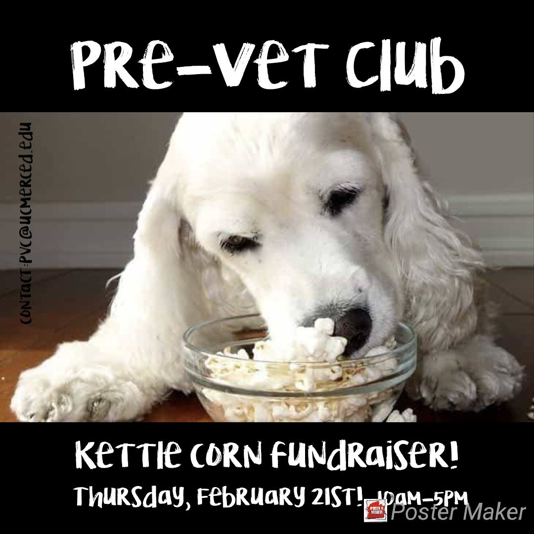 UCMercedPVC's tweet image. Come buy your popcorn Thursday and support the pre vet club!