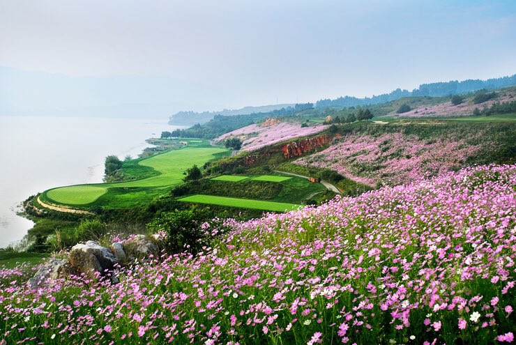 golfers_reviews's tweet photo. Golf review - ๐จ๐ณ Spring City Golf & Lake Resort - Lake course
Tags: #golf #golfcourseReview #golfReviews #golfRatings #springCityGolf #lakeResort #golfChina #golfAsia #lakeCourse #RobertTrentJonesJr #golfKunming
Played it? Rate it! > https://t.co/bnTj3UNv2X https://t.co/3GO77IYASl