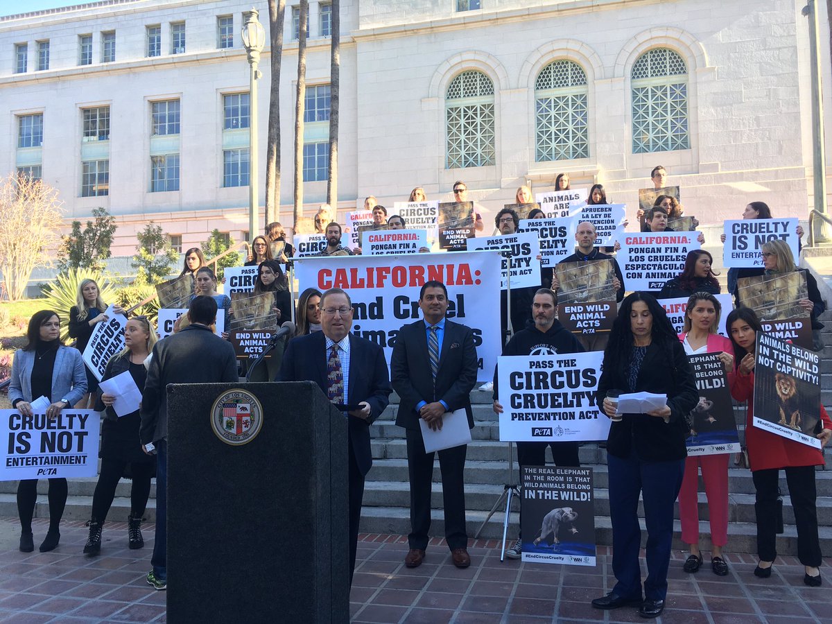 SenBenHueso's tweet photo. Tune in live now to watch my press conference announcing the Circus Cruelty Prevention Act #EndCircusCruelty #SupportSB313 https://t.co/02krP7s4pv https://t.co/TG5h0DTowO