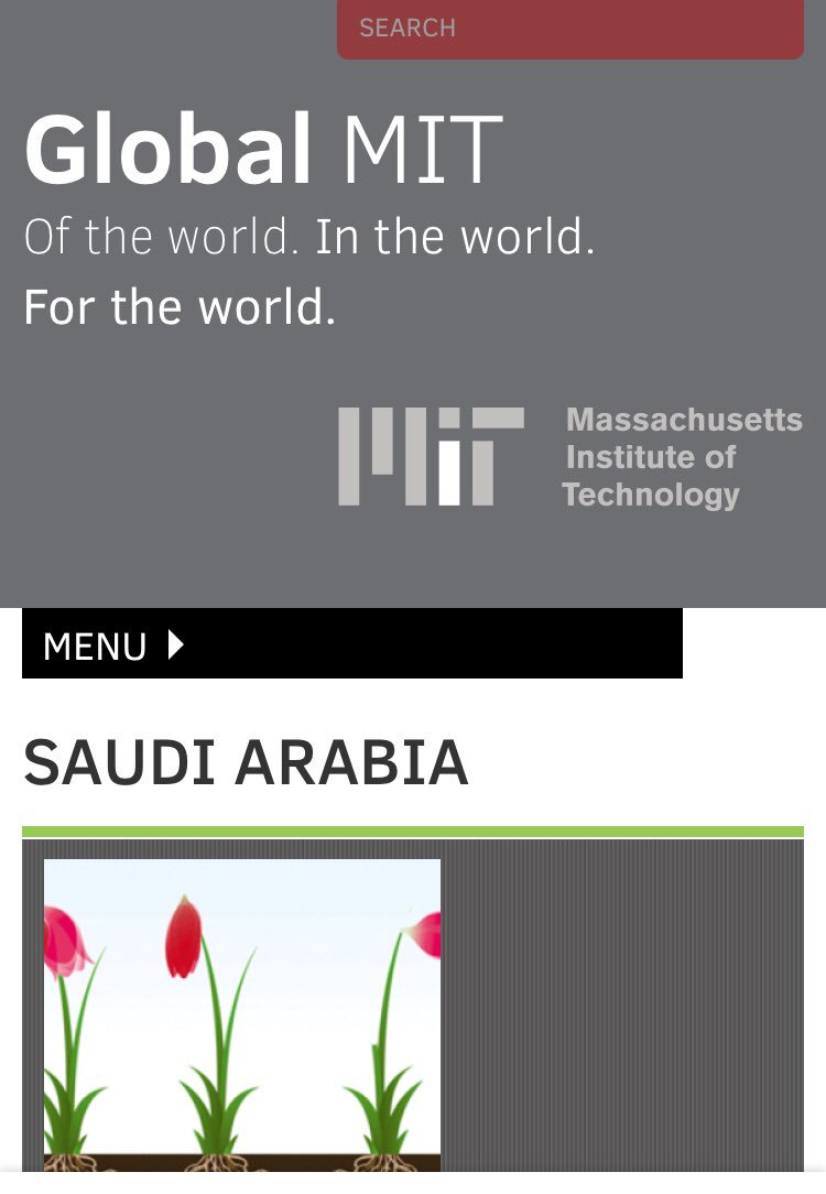 GLOBAL MIT of the world In The World. FOR THE WORLD. Massachusetts Institute of Technology Saudi Arabia  http://global.mit.edu/map/browse-country/saudi-arabia