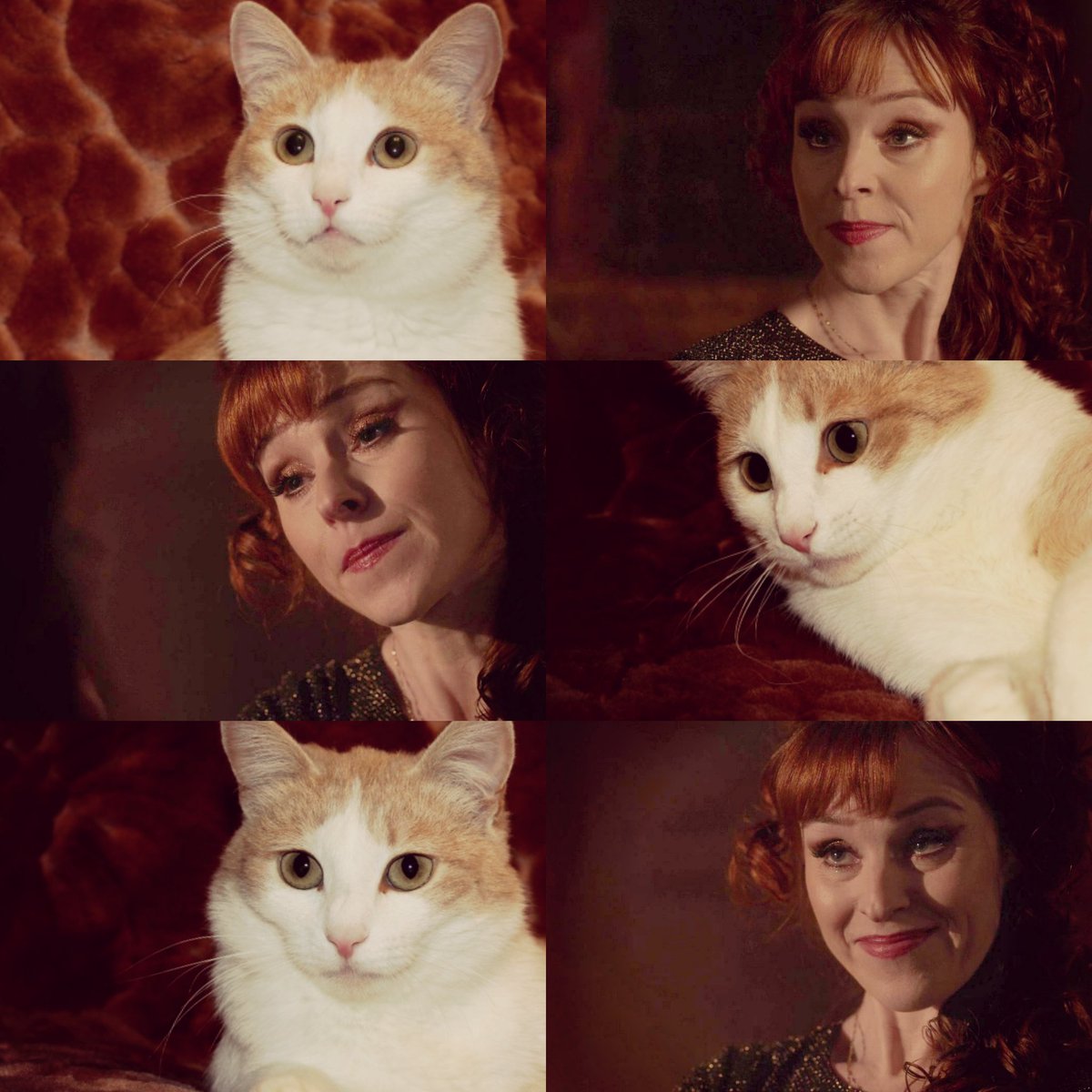 Bigudushka's tweet photo. Gorgeous Rowena MacLeod in the episode "Hell's Angel" and cats 😍♥🐱
Watching episodes of the Supernatural with @RuthieConnell always cheers me up and inspires😊❤
#SPNFamily https://t.co/M28gEFRDVr