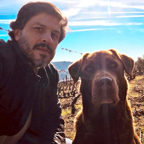 CascaWines's tweet photo. Vinhos Biodinâmicos e a Influência da Lua 🌙
 Artigo em https://t.co/4Yno3MAbGG
 Biodynamic Wines and the Influence of the Moon
 Article at https://t.co/4Yno3MAbGG https://t.co/TE6LlOGYRw