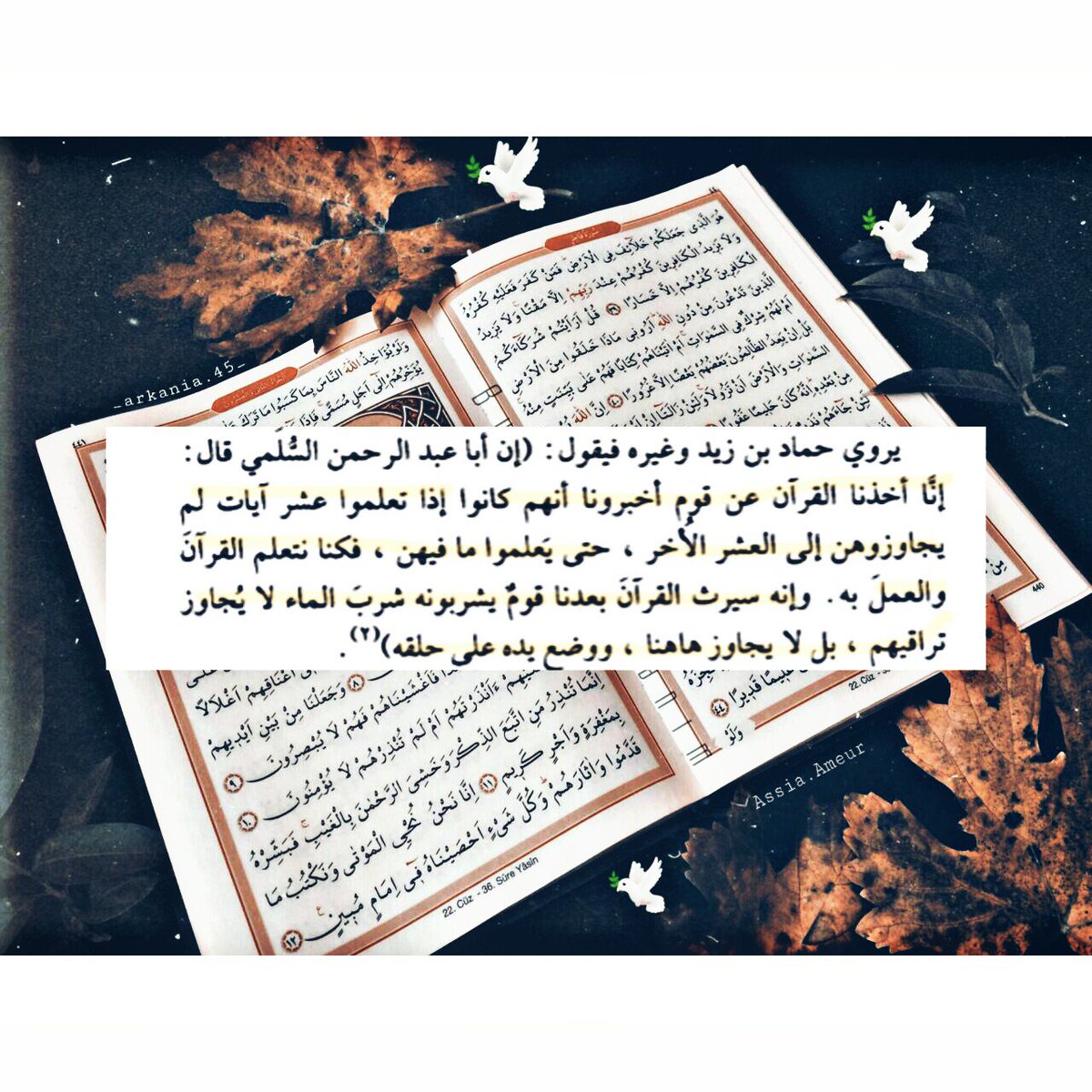 ••
وقد وقع هذا القول حقّا ~~
__
📚أخرجه الطبري في تفسيره (٨٢) ؛ وذكره الذهبي في "معرفة القراءة " ٥٤/١ ؛ وإسناده صحيح. 

#قراء_الجرد_الخلفاء_الراشدون 
#عثمان_بن_عفان