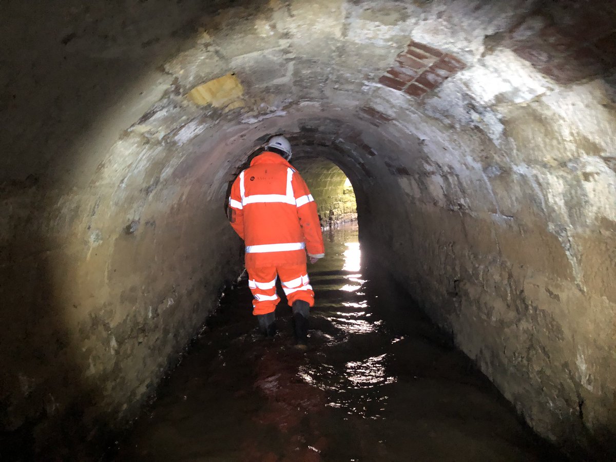 WhitcherWild's tweet image. Still no bats living in this culvert in County Durham. Further surveys will see if summer roosts are present. #bat #bats #batsurvey #hibernation #culvert #railways #ecology
