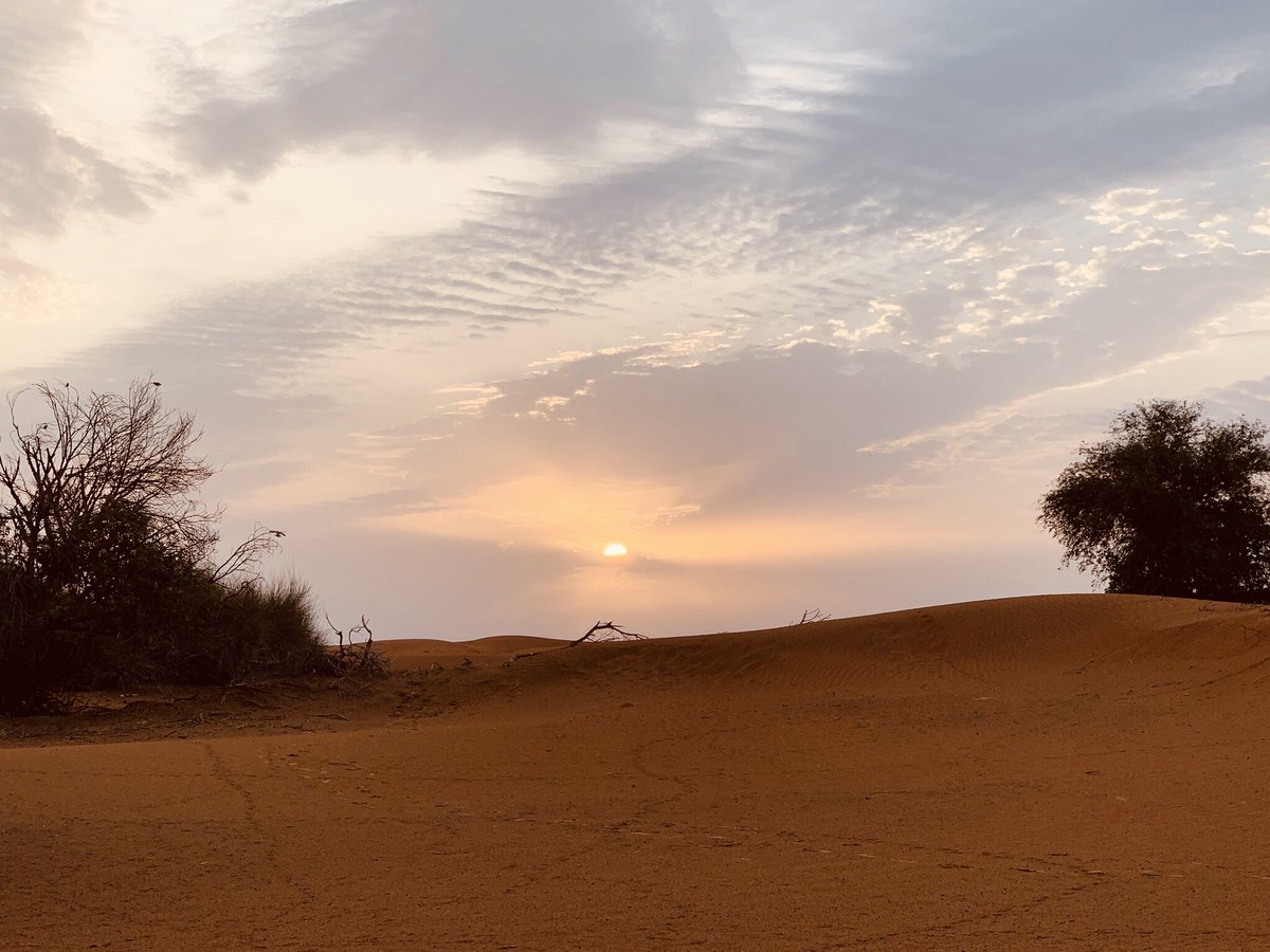 Camila_Cabello's tweet image. 