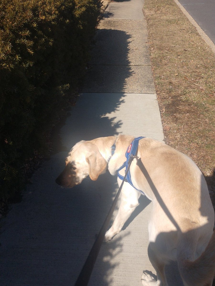 MPLAYERco's tweet photo. @Shvartacus I actually call him big chungo https://t.co/DSEXstjs5g