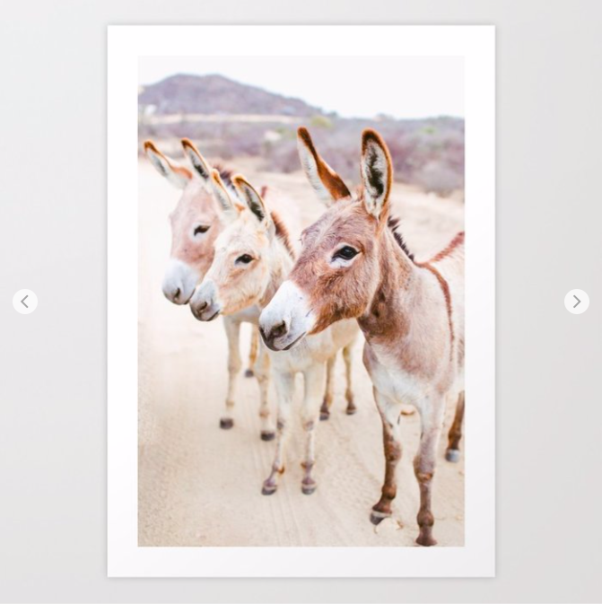 romanalilic's tweet photo. 📌 Get 25% Off + Free WorldWide Shipping 📌 Perfect prints, stationery, and thoughtful gifts, don't miss this special artist promo! Get 25% Off + Free WorldWide Shipping, valid only through the link below:
https://t.co/fxPA4boOfl 
Valid until Feb 21, 2019 at Midnight PT. https://t.co/VQoiG6wa6c