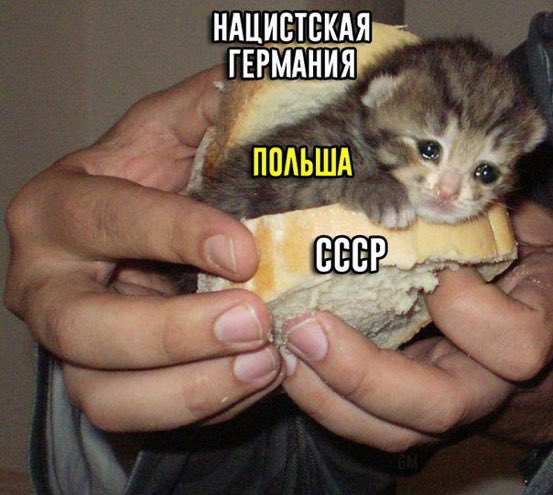 DzyRVGBXgAM9B6a?format=jpg&name=small