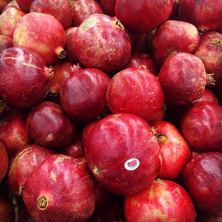 EnvironmentGrad's tweet image. I've loved sharing my shots of sustainable life &amp;amp; natural environments: bit.ly/2NfMhDp 📸💚🌍 here's some recent ones/my favourites #Sustainability #Environment #Graduate