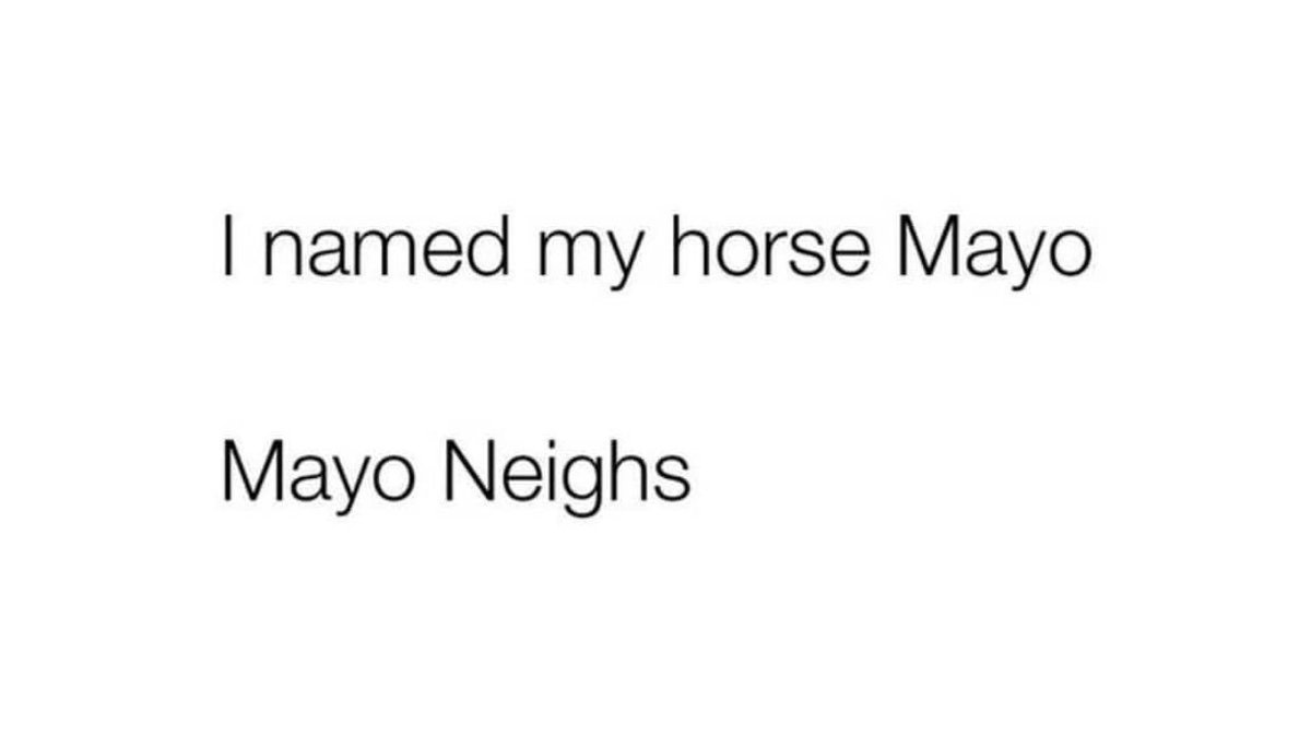 horseware enthusiast tweet media