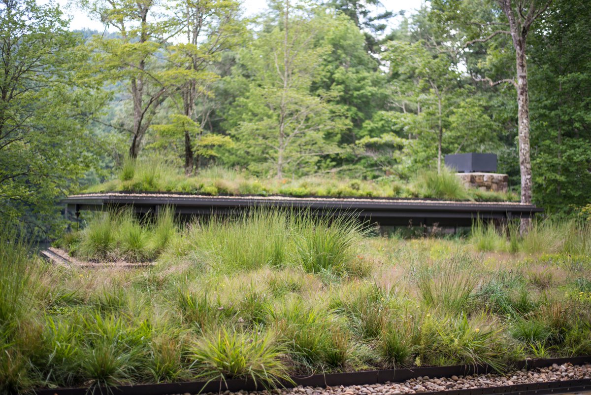 GrassSolutions's tweet photo. Check out these awesome projects by @LivingRoofsInc with some of our grasses!
#HoffmanNursery #WeGrowGoodGrass https://t.co/ogEkXOyxEH