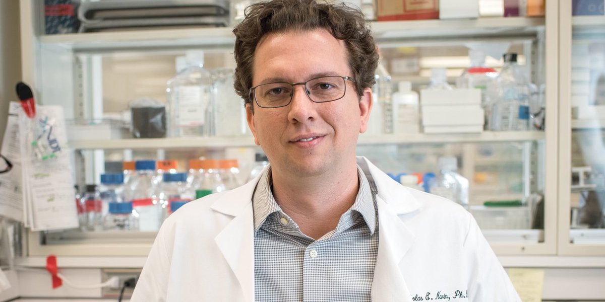 MD Anderson Cancer Center (@mdandersonnews) on Twitter photo .<a href="/nicholas_navin/">Nicholas Navin</a> wanted to better understand how tumors grow and evolve, so he found a way to analyze the DNA of individual cells: bit.ly/2tpYMmS #endcancer .<a href="/nicholas_navin/">Nicholas Navin</a> wanted to better understand how tumors grow and evolve, so he found a way to analyze the DNA of individual cells: bit.ly/2tpYMmS #endcancer