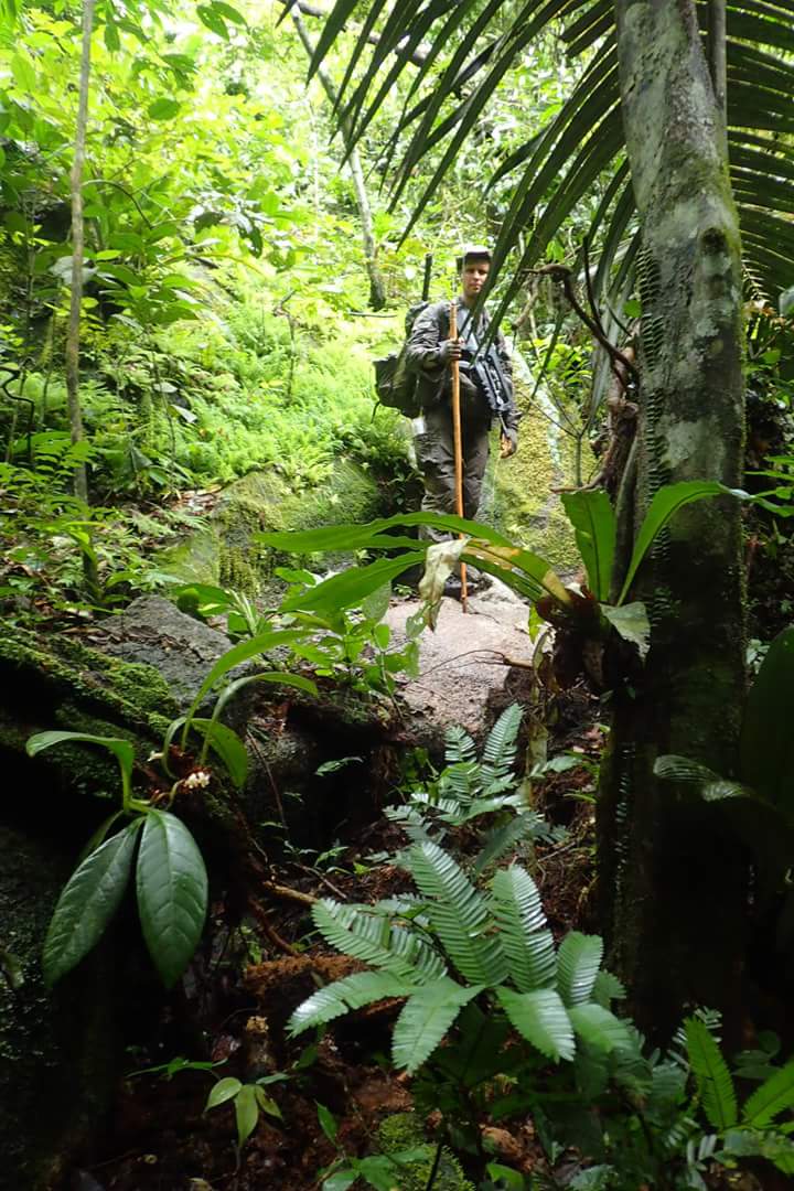 FAG_Officiel's tweet image. #BattlePhoto P1 : quoi de plus "wild" que la forêt guyanaise ?