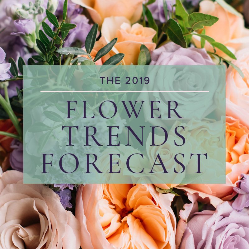NortonsFlorist's tweet photo. What’s up next for flowers in 2019? Check out our take on IFD’s Flower Trends Forecast for an insider’s view of the buzziest blooms: https://t.co/d1gkYQrvkI! 🧡 https://t.co/wuDK3Mh7RY