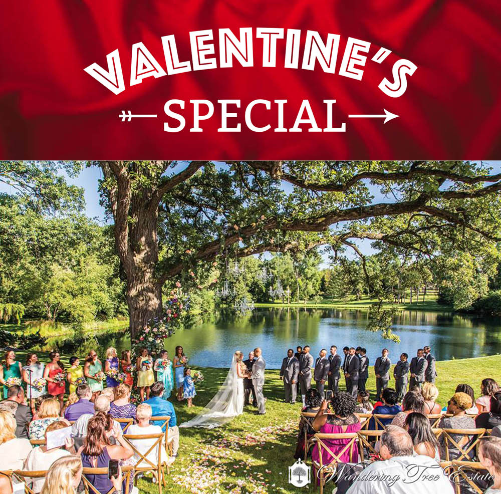 ChiStyleWed's tweet photo. Valentine’s Wedding Special through February! - https://t.co/71tYzIcEbz @_WanderingTree #weddingspecial #wedding #chicagowedding #outdoorwedding #wanderingtree #chicago #wedding #weddingplanning https://t.co/hJz8dzPOZf