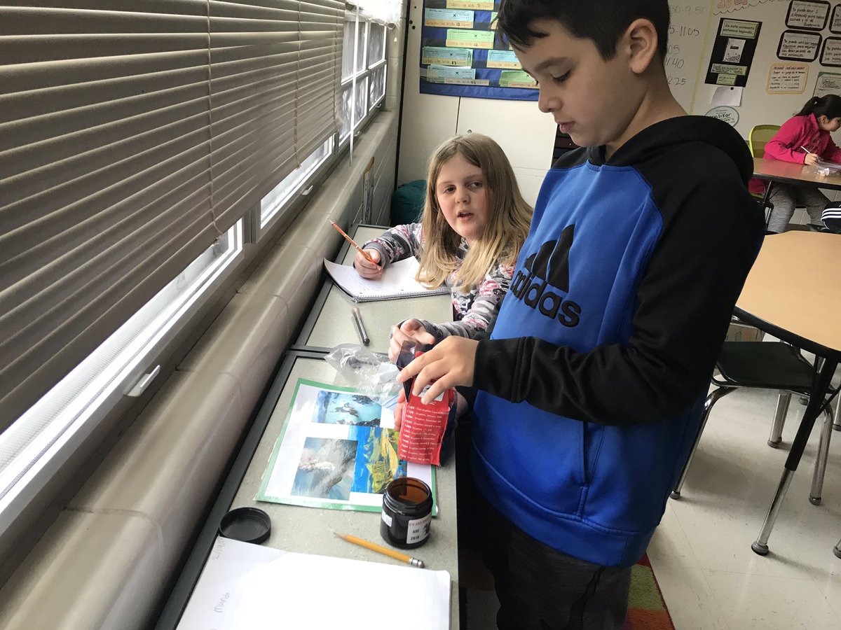 SraSigrist's tweet photo. Today we observed rock, ash and sand samples from Iceland, Ecuador, Tenerife, Israel, Hawaii and Mt. St. Helens! ¡Hoy observamos muestras de piedra, ceniza y arena de Islandia, Ecuador, Tenerife, Israel, Hawai y Mt. Sta. Helena! @oeselem #wcusd200 https://t.co/axi4oqQECy