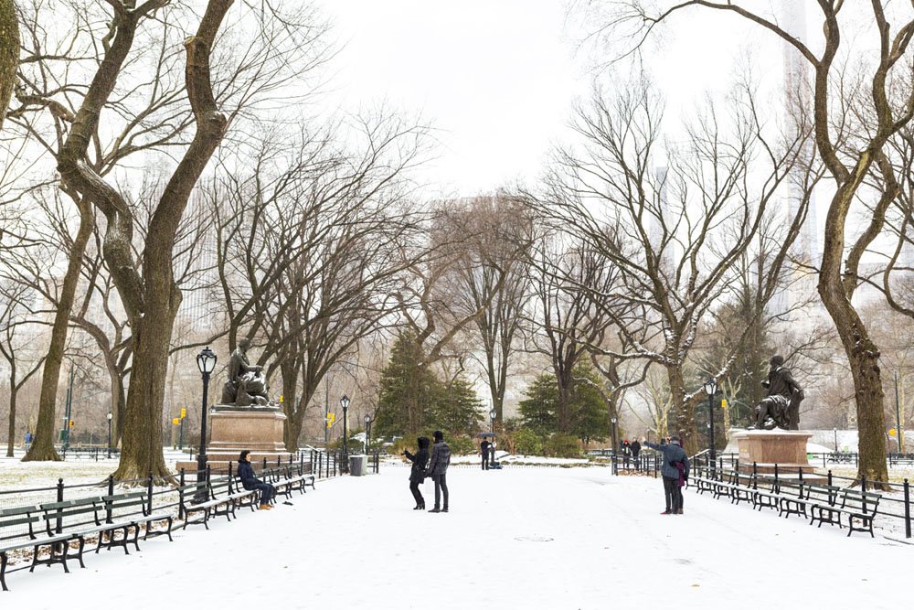 Central Park tweet media