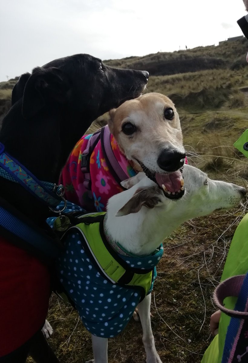 lilwonkywilly's tweet image. I'm a bit short
#stackum